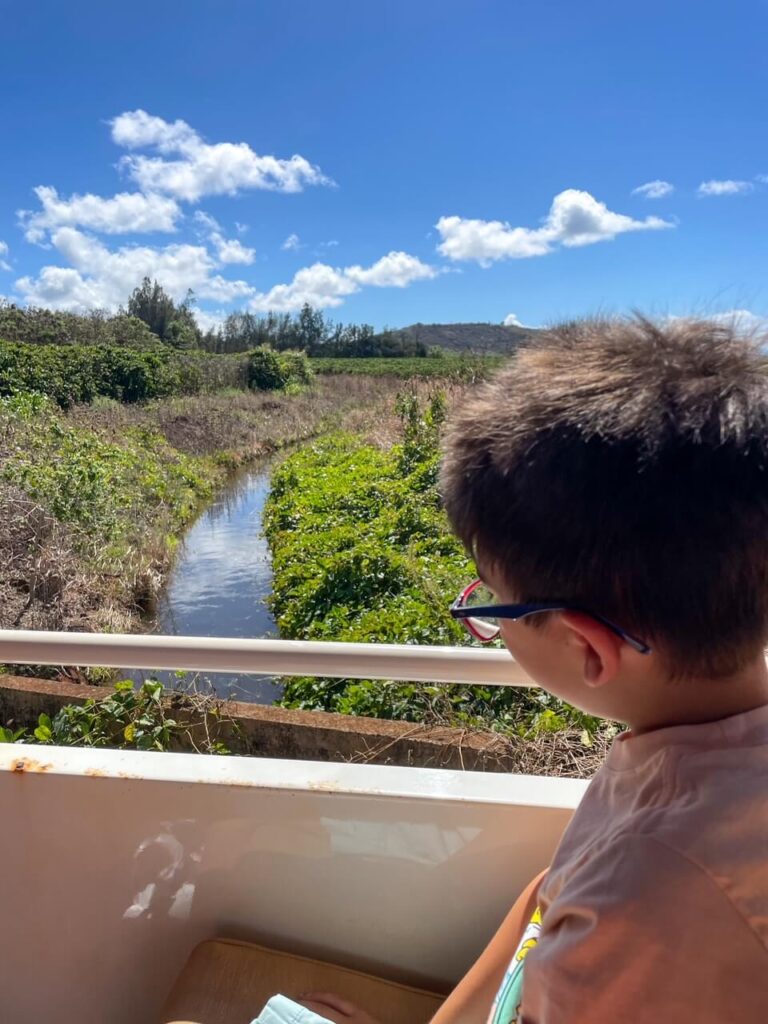 coffee plantation tour in kauai