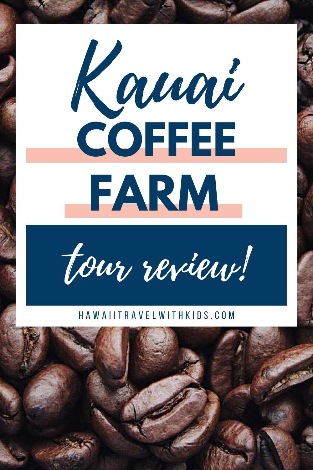 Is It Worth Doing a Kauai Coffee Farm Tour? (2023)