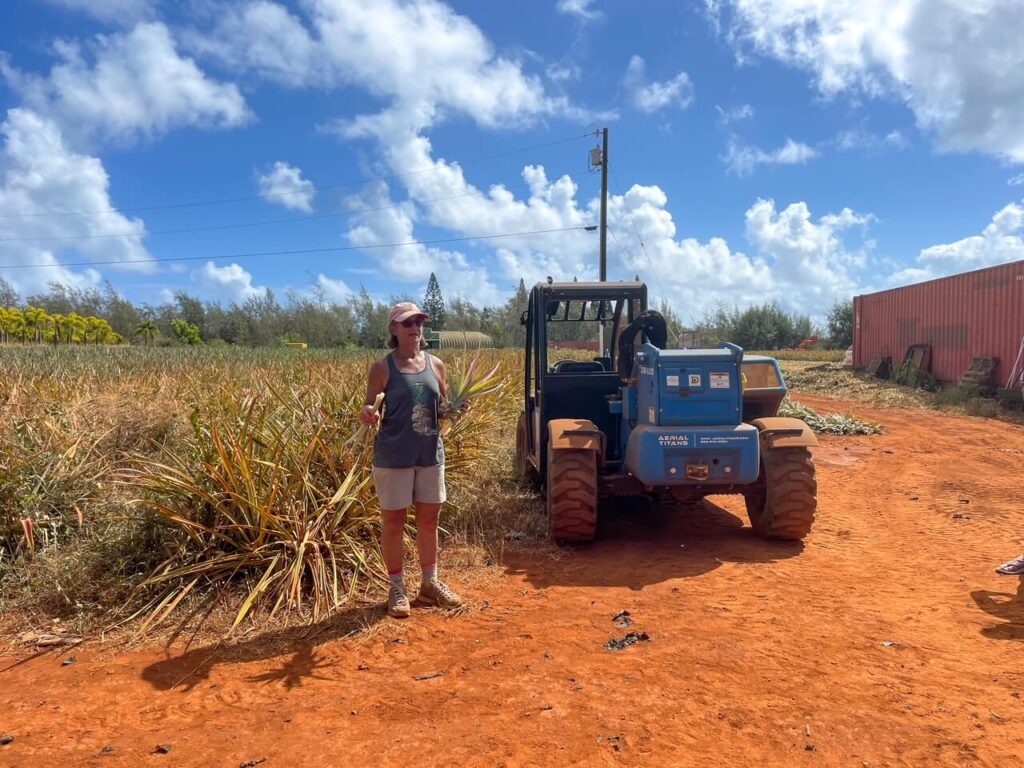 pineapple plantation tours big island hawaii