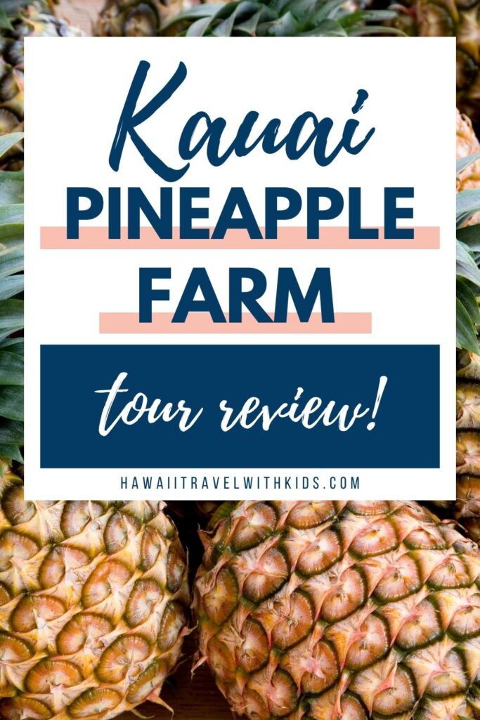 pineapple plantation tour hawaii