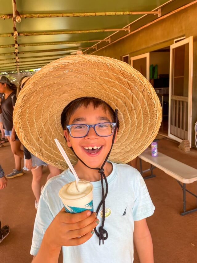 Should You do a Kauai Pineapple Plantation Tour? (2023)