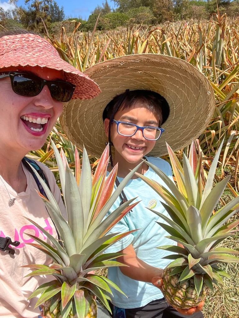 pineapple plantation tours big island hawaii