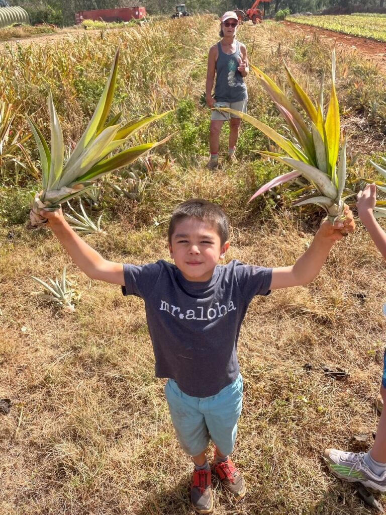 pineapple plantation tours big island hawaii