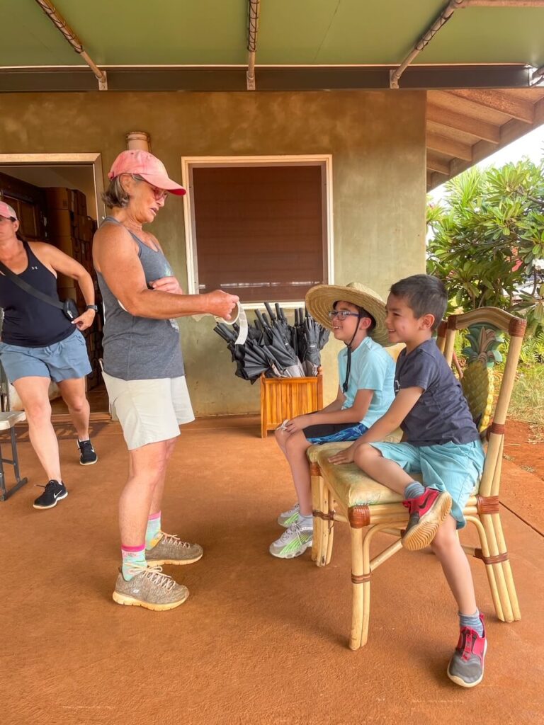 pineapple plantation tours big island hawaii