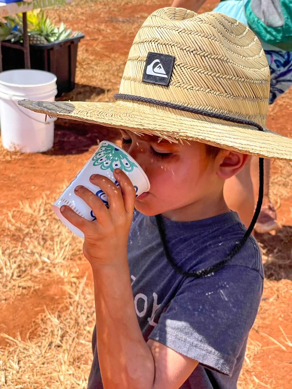 Should You do a Kauai Pineapple Plantation Tour? (2023)