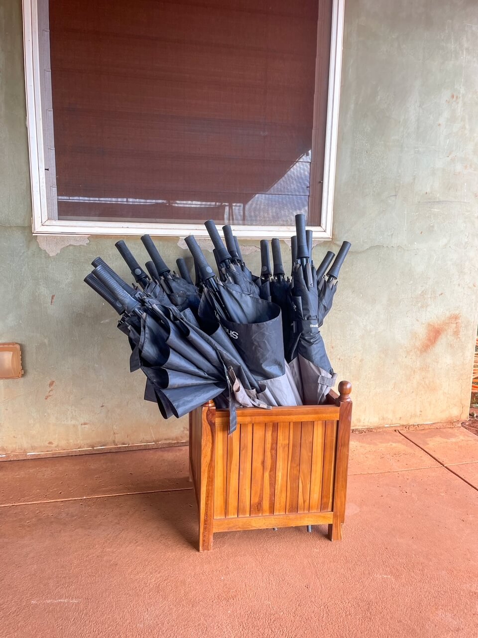 Should You do a Kauai Pineapple Plantation Tour? (2023)