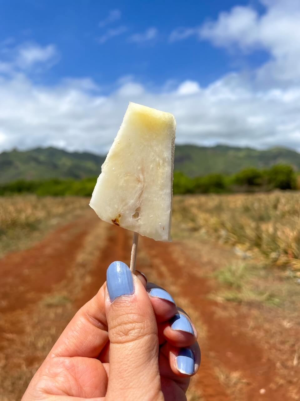 Should You do a Kauai Pineapple Plantation Tour? (2023)