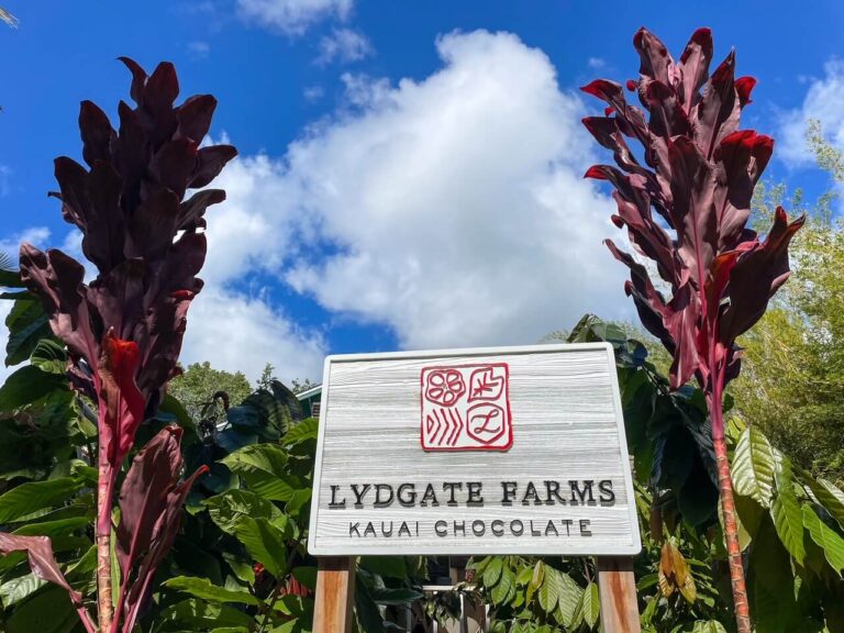 Is the Kauai Chocolate Farm Tour Worth It? (2023)
