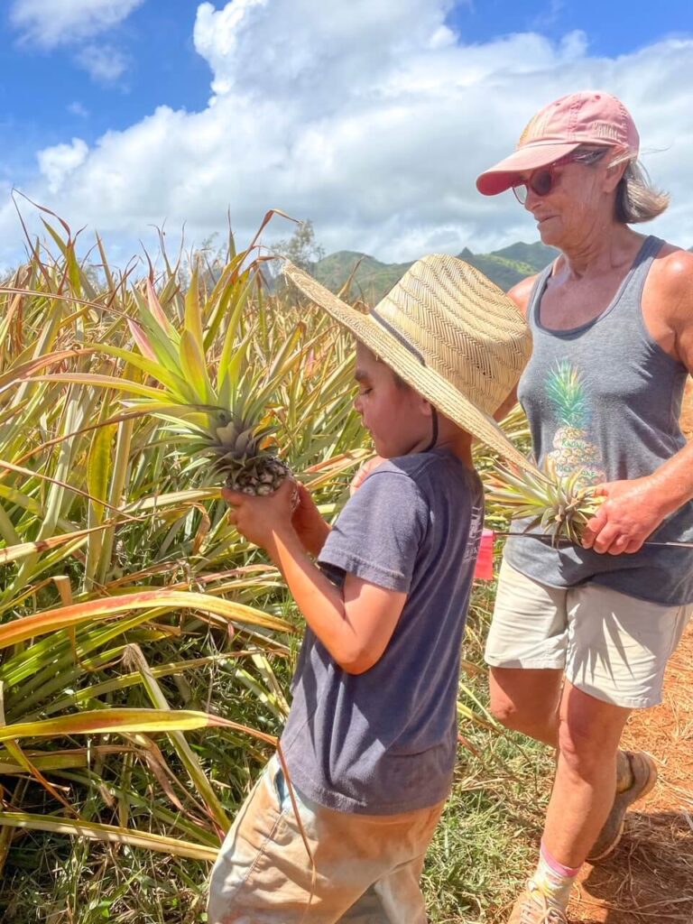 Kauai Pineapple Plantation Tour: Image of a boy picking a pineapple at a KAuai pineapple farm