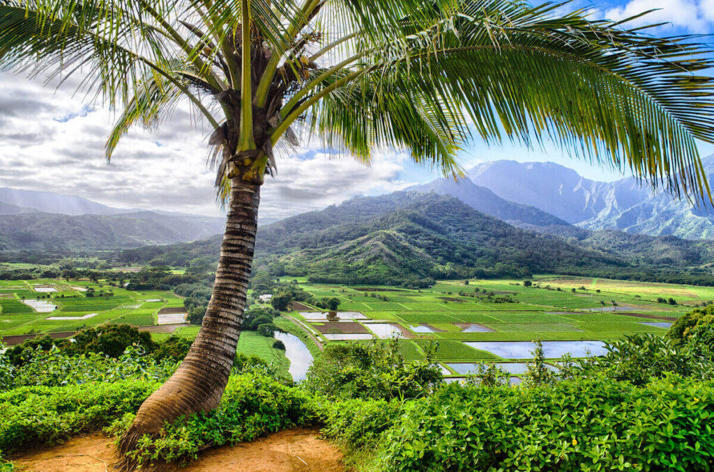 Check out this list of the best Kauai farm tours recommended by top Hawaii blog Hawaii Travel with Kids! Image of farms in Hanalei Kauai