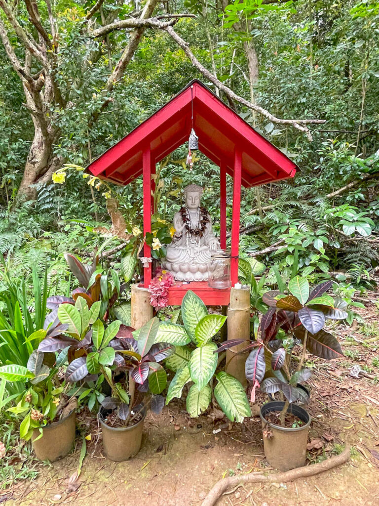 Image of a small Buddha shrine in the jungle of Oahu