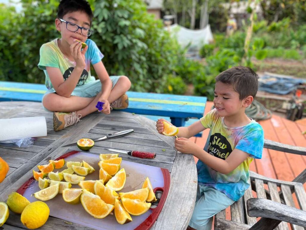 Image of two boys eating citrus fruit