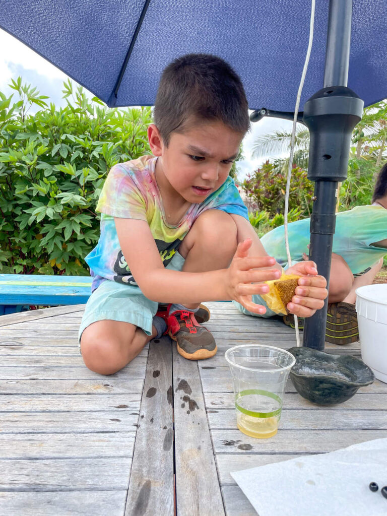 Image of a boy squeezing citrus into a plastic cup