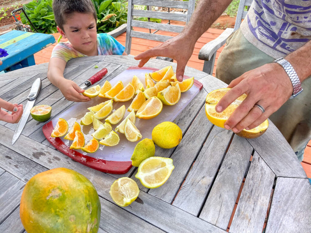 Image of a boy picking up a slice of citrus fruit at a Kauai farm tour
