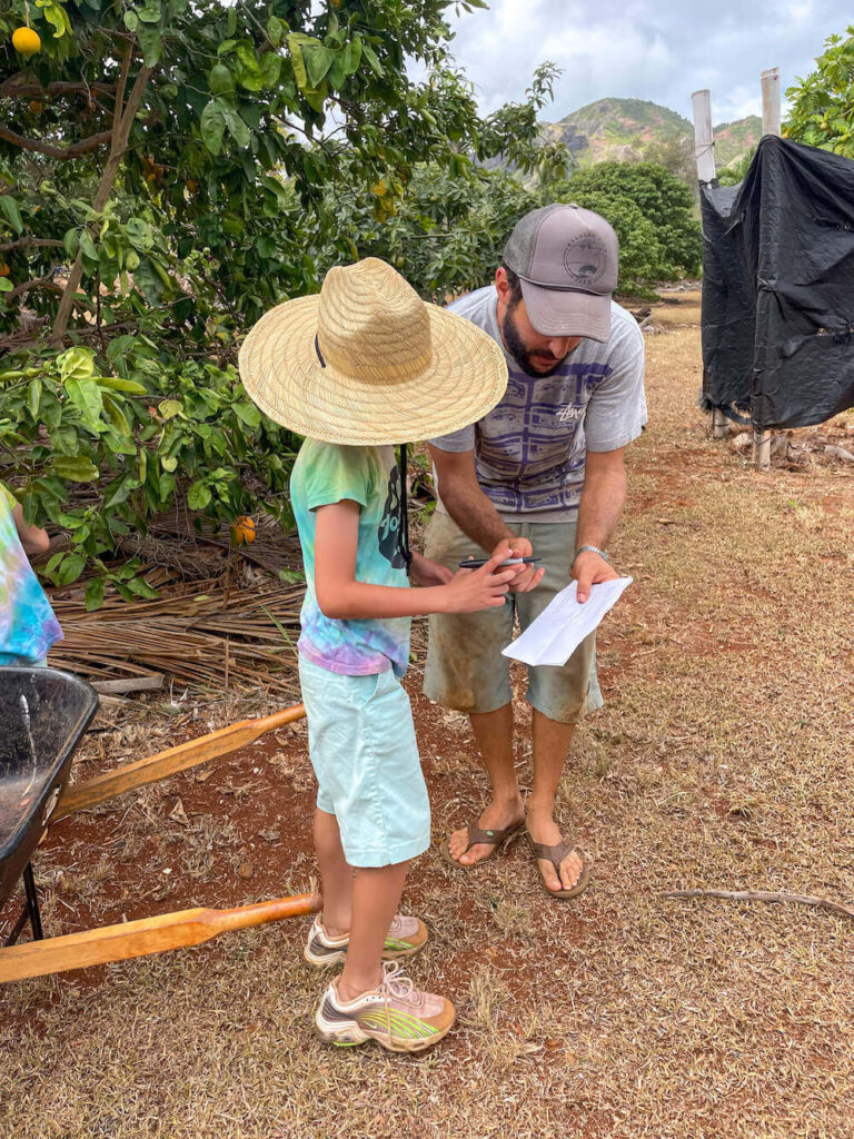 Image of a man and boy looking at a sheet of paper with a bunch of fruit trees on it at a Kauai farm