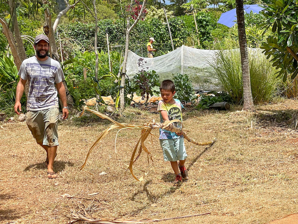 Image of a boy carrying a large sugar cane stalk.