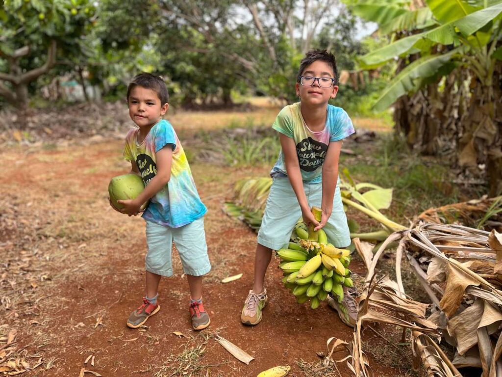 Check out this Kalalea View Farm Tour on Kauai review by top Hawaii blog Hawaii Travel with Kids! Image of two boys carrying coconuts and bananas on a Kauai farm tour.