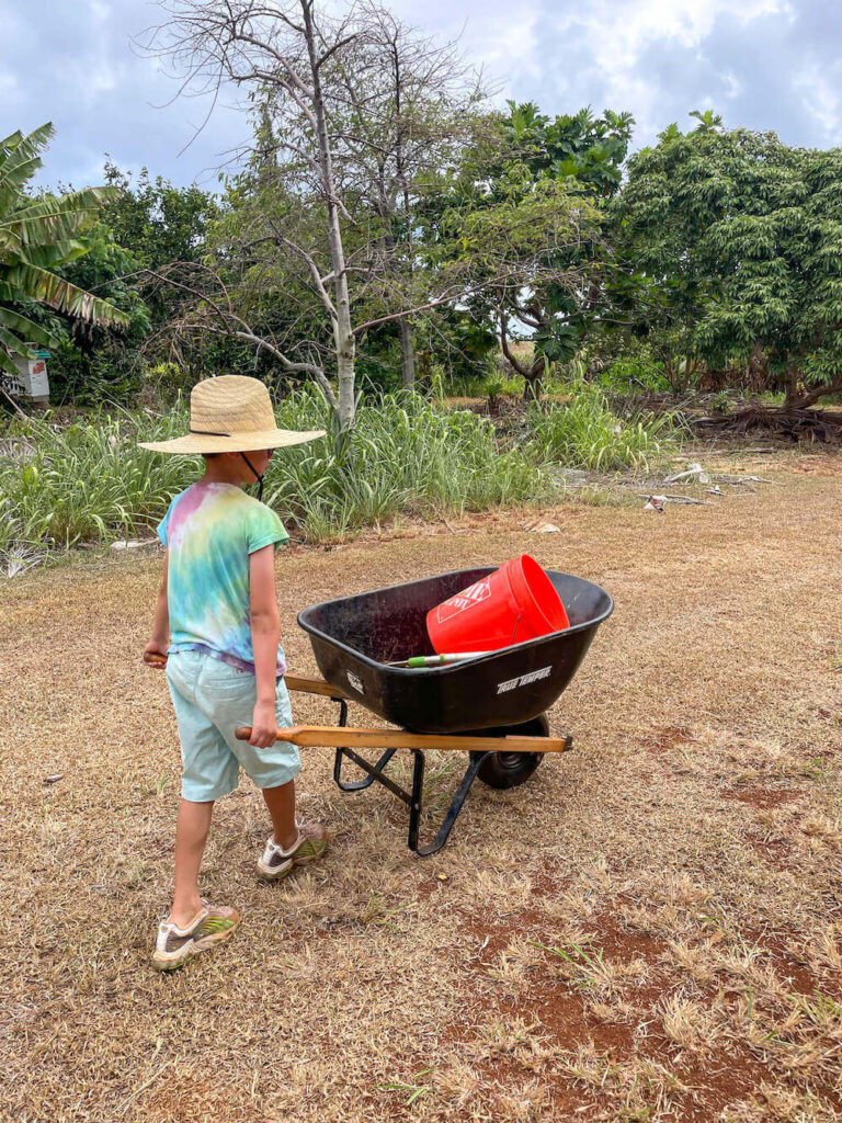 Put the kids to work at a Kauai farm tour. Photo of a boy pushing a wheelbarrow on a farm on Kauai