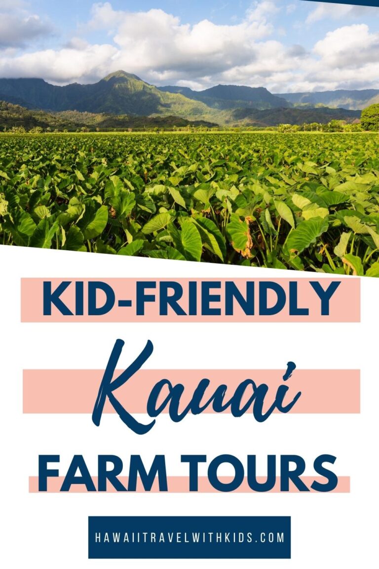 farm tours for