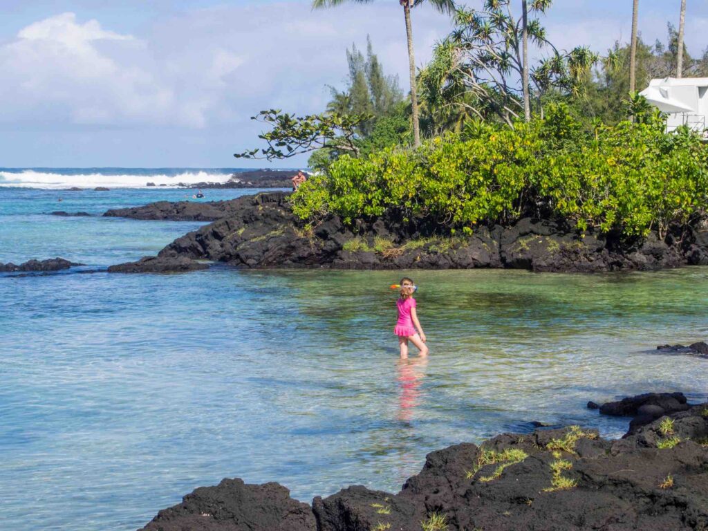 Carlsmith beach park is one of best places to swim and snorkel close to Hilo. Lava and a reef protect the inner swimming area, making it almost like a swimming pool.