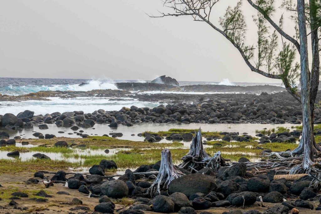 Lehia Beach Park near Hilo Hawaii