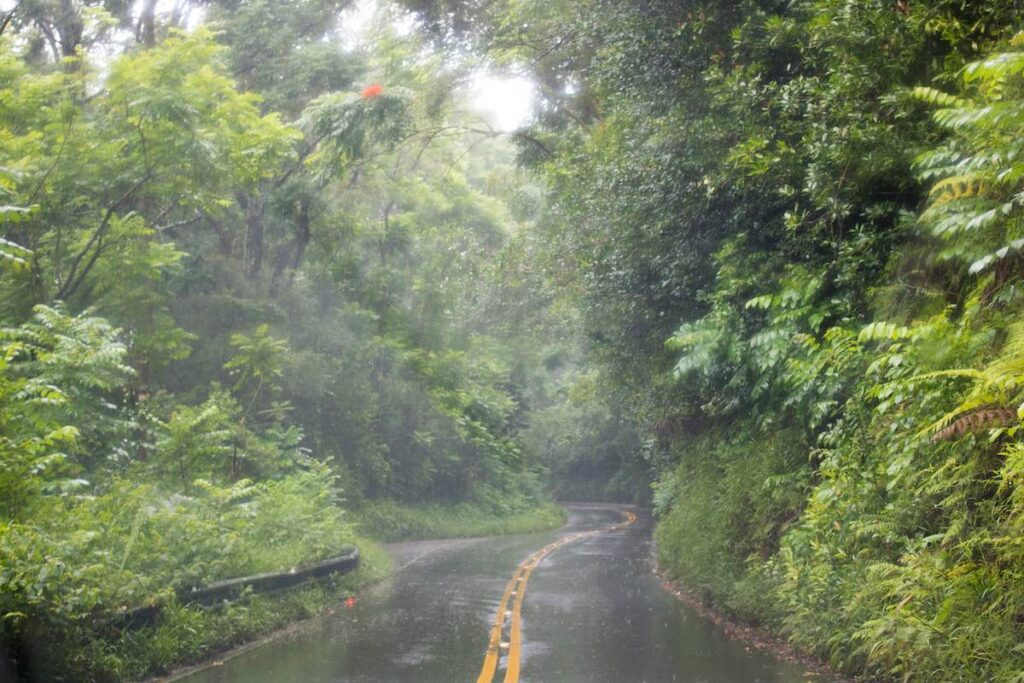 Rain during Storm on Maui Hawaii Jungle Road