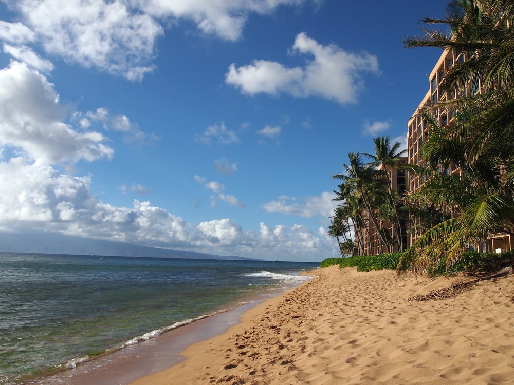 Kaanapali Beach with gentle waves crashing on the sand and Coconut trees, and napaka bushes. Island of Lanai can be seen in the distance on Maui, Hawaii.