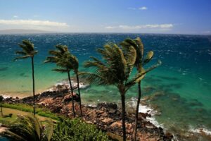 Find out the best things to do in Maui in November recommended by top Hawaii blog Hawaii Travel with Kids. Image of a Maui coastline during tradewinds.