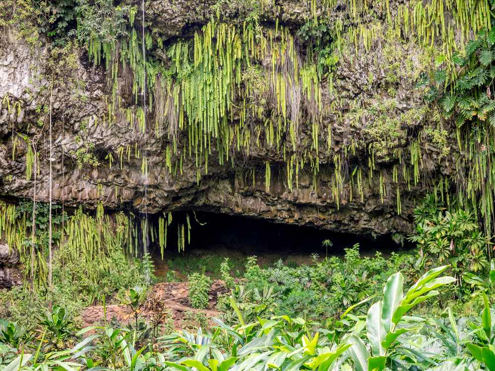 Image of Fern Grotto on Kauai