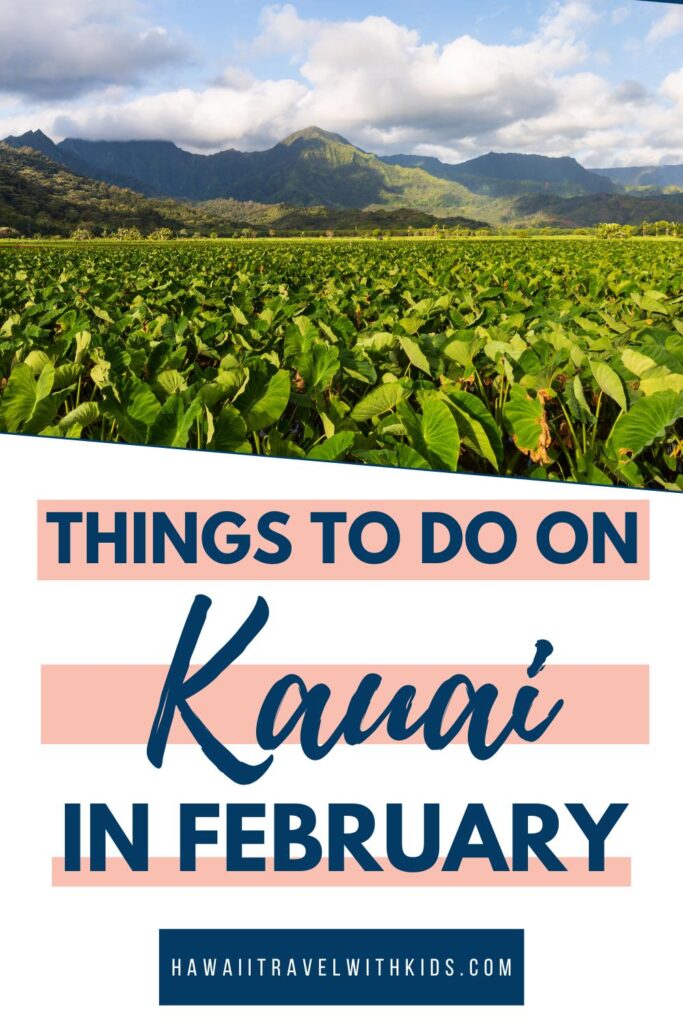 Best Things to do in Kauai in February (2023)