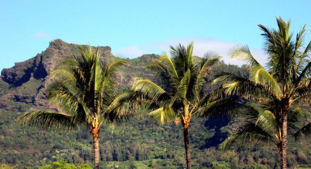 Image of Sleeping Giant mountain on Kauai