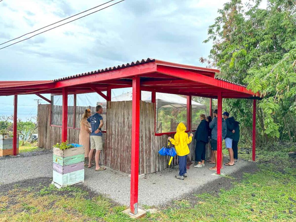 Image of beehives inside a screened off outdoor viewing area at Big Island Bees