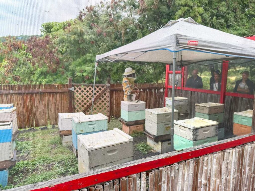 Image of a man in a beekeeper suit tending to honeybees in Hawaii.