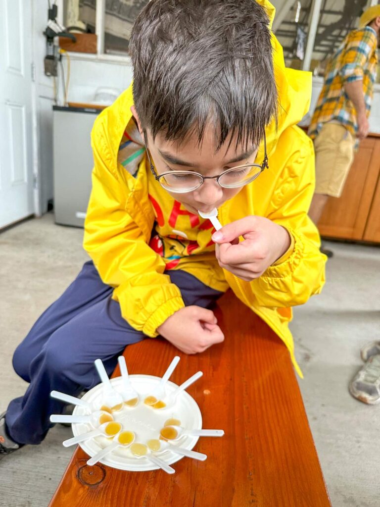 Image of a boy tasting honey in Hawaii