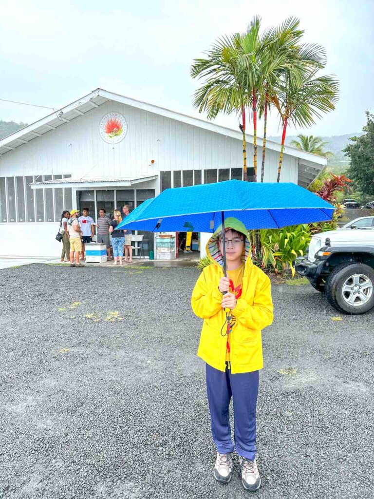 Image of a boy holding an umbrella in front of Big Island Bees in Captain Cook HI