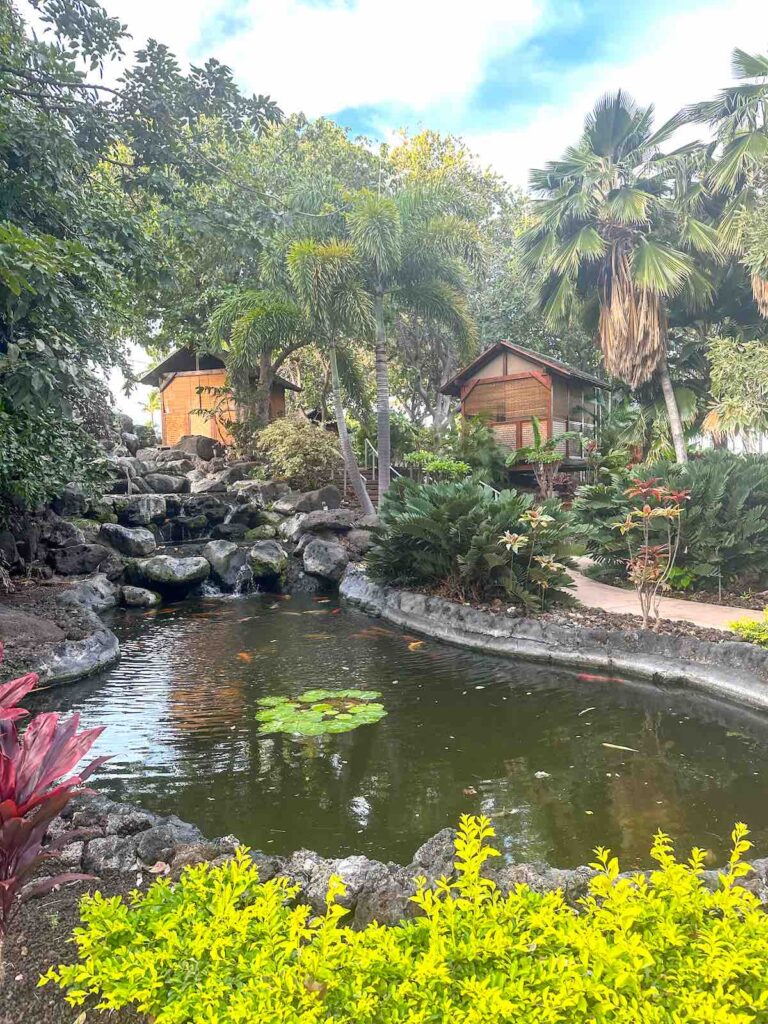 Image of a pond with little huts above it