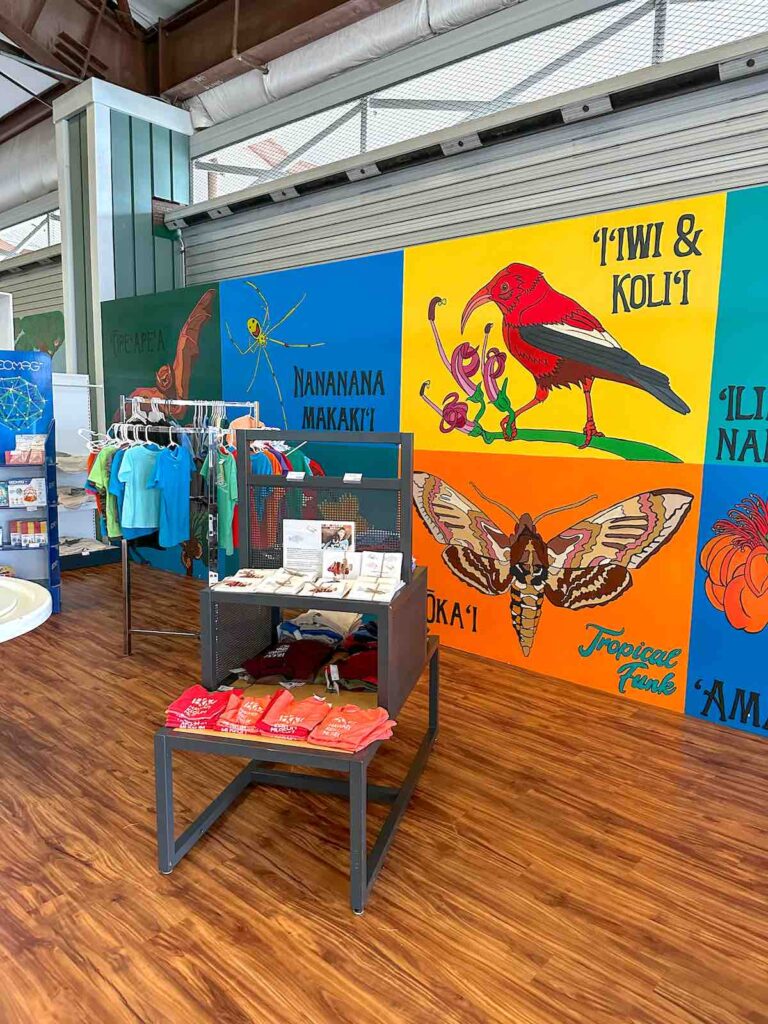 Image of a colorful mural in the Hawaii Keiki Museum gift shop in Kona.