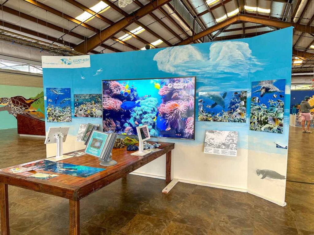 Image of a Hawaii sea life learning center at the Hawaii Keiki Museum