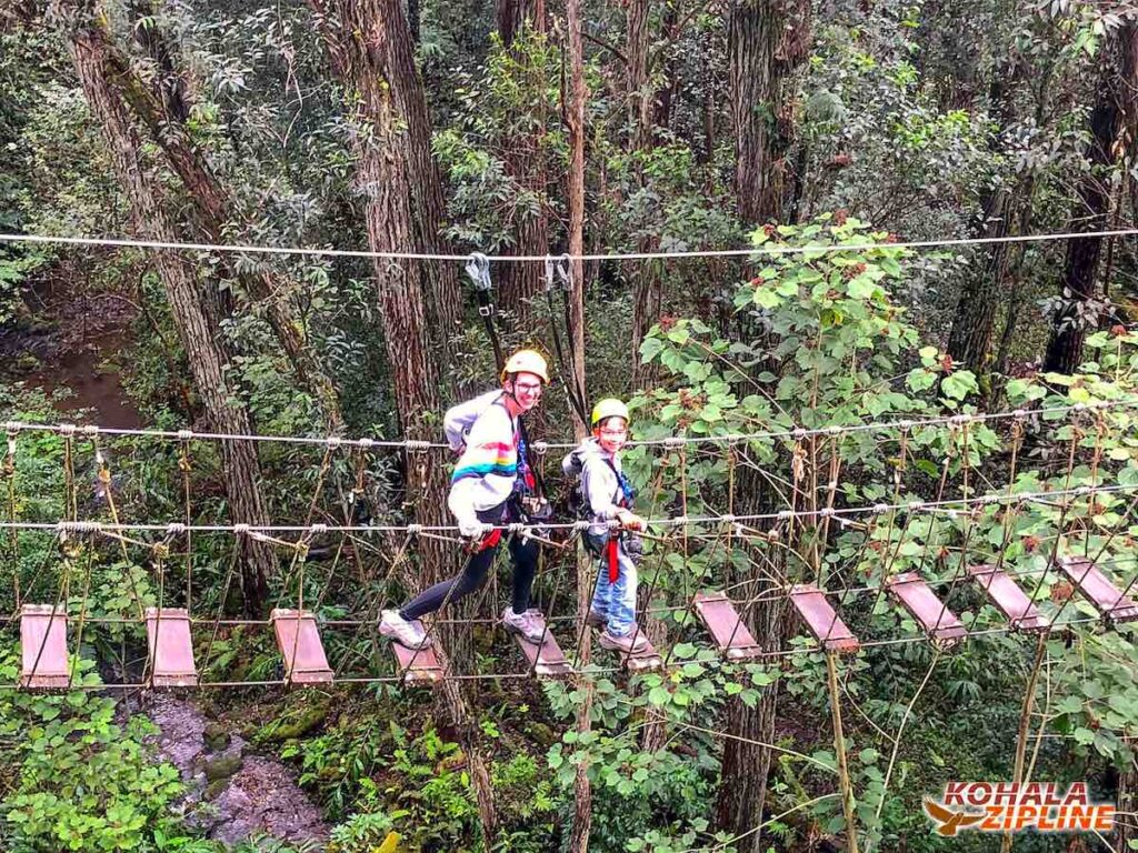 Image of a mom and son walking across a suspension bridge