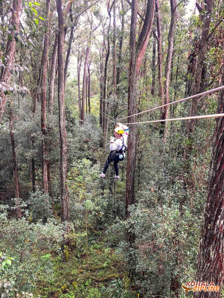 Image of a woman ziplining in Hawaii