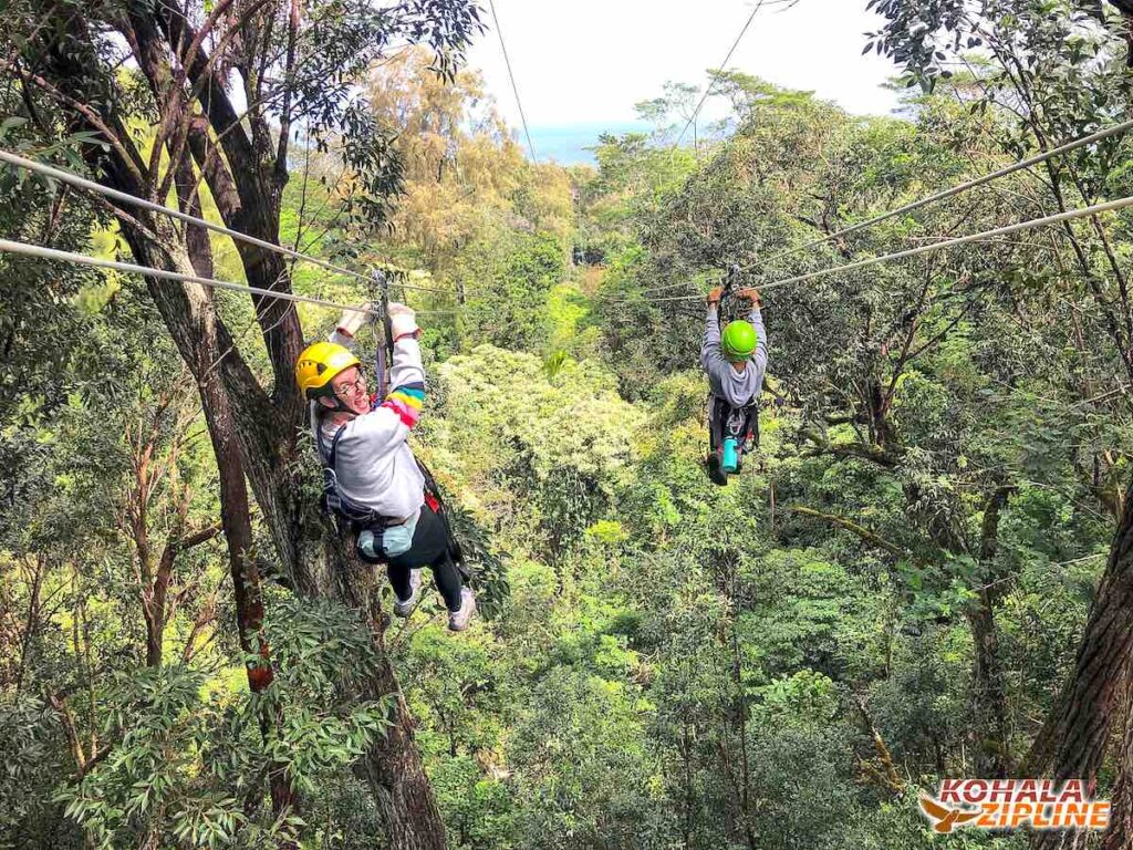 Check out this honest Kohala Zipline tour review by top Hawaii blog Hawaii Travel with Kids! Image of a mom and son ziplining on the Big Island