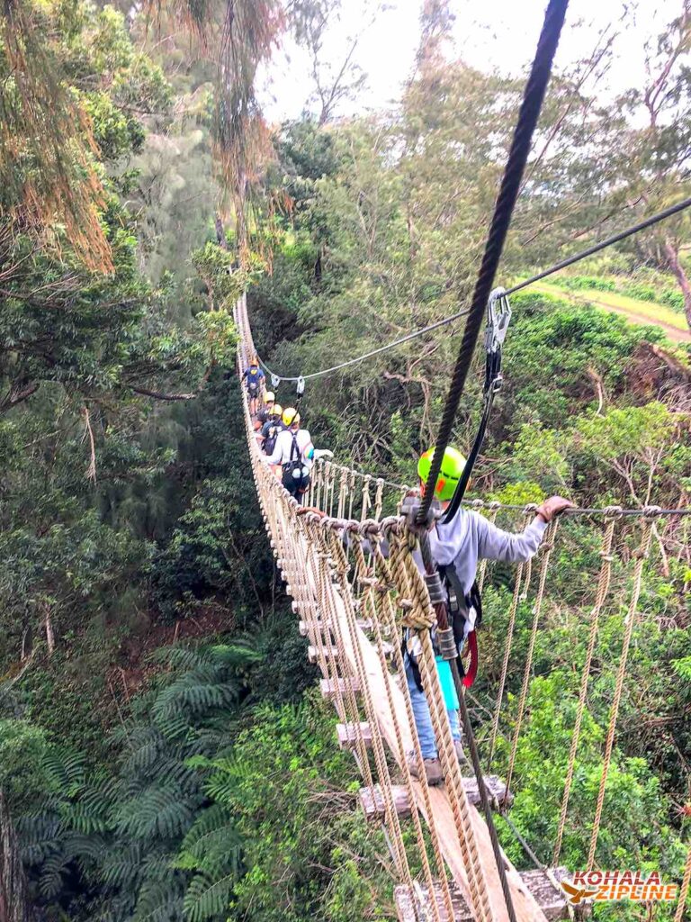 Image of people walking across a suspension bridge at Kohala Zipline on the Big Island.