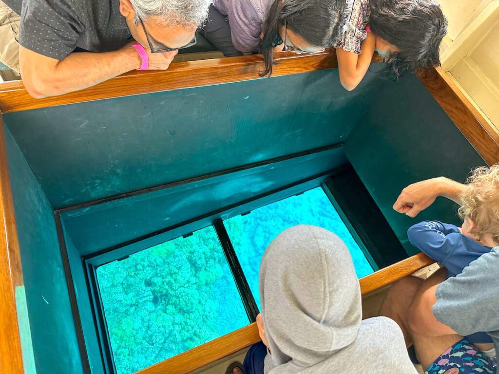 Image of a picture window on the Kona Glassbottom Boat tour.