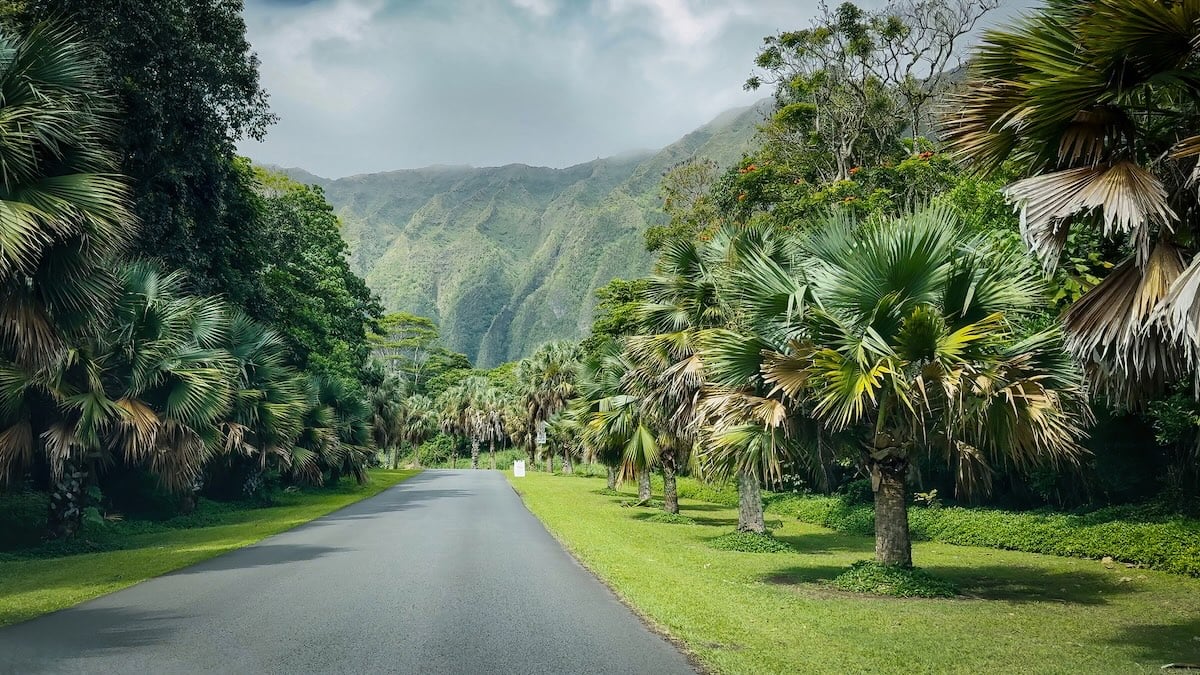 Street view on Luluku Road at Hoʻomaluhia Botanical Garden on the Hawaiian Island of Oahu, USA against cloudy sky