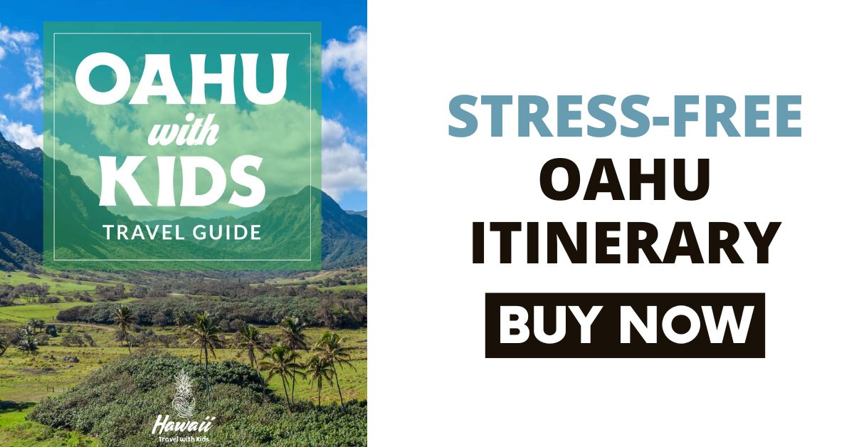 9 Best Hawaiian Souvenirs from Oahu + 5 Best Oahu Souvenir Shops (2023)