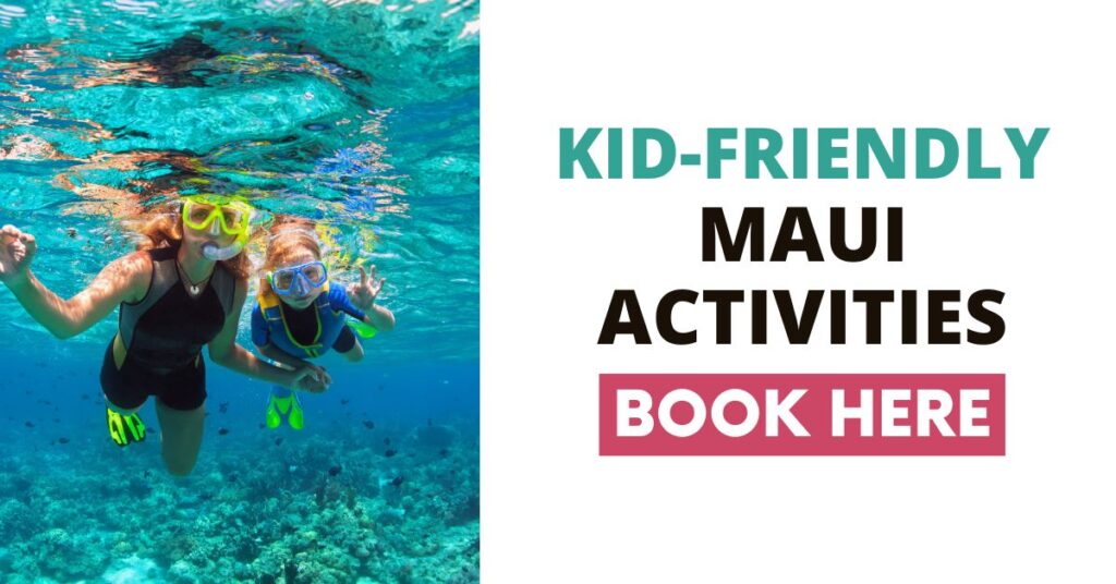 best maui snorkeling tours for families