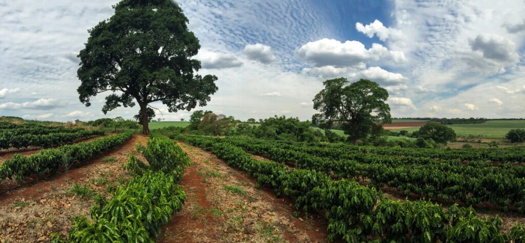 Farm in Hawaii