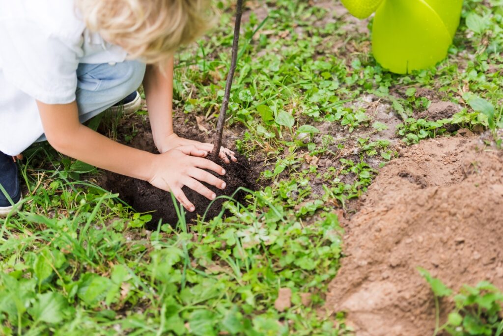 Little kid planting a tree