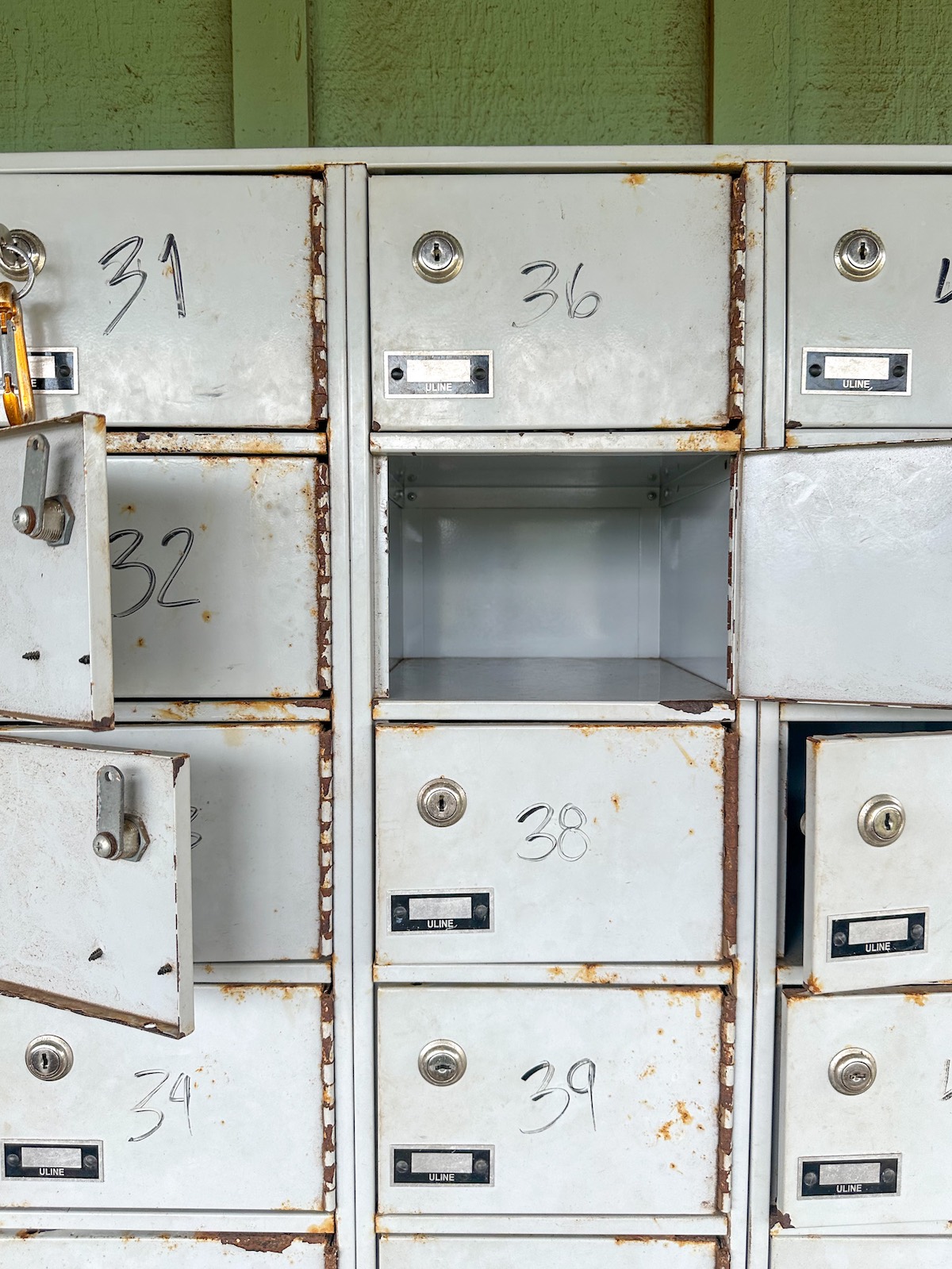 CLIMB Works Zipline North Shore Oahu Zipline Tour Review for Families