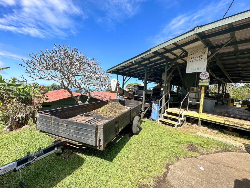 Image of the Greenwell Coffee Farm on the Big Island